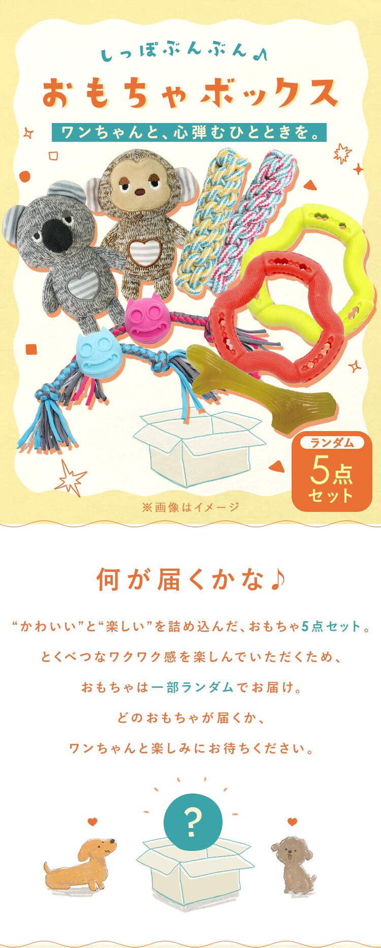 ＼何が届くかお楽しみ！／わんこ用おもちゃ ハッピーバッグ5点セット0