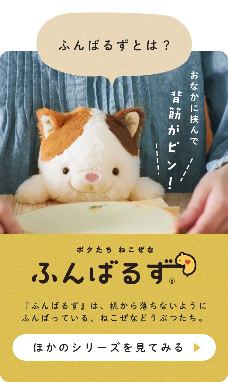 ふんばるず ぬいぐるみ はちわれ 姿勢改善 姿勢サポート 姿勢矯正 VRT428983