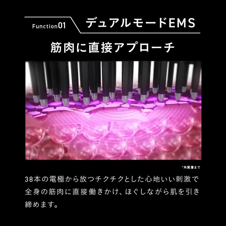 ブライト ELEKI BRUSH＋（エレキブラシプラス） ブラック BRT-FSB180 6