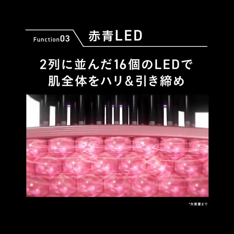 ブライト ELEKI BRUSH＋（エレキブラシプラス） ブラック BRT-FSB180 8