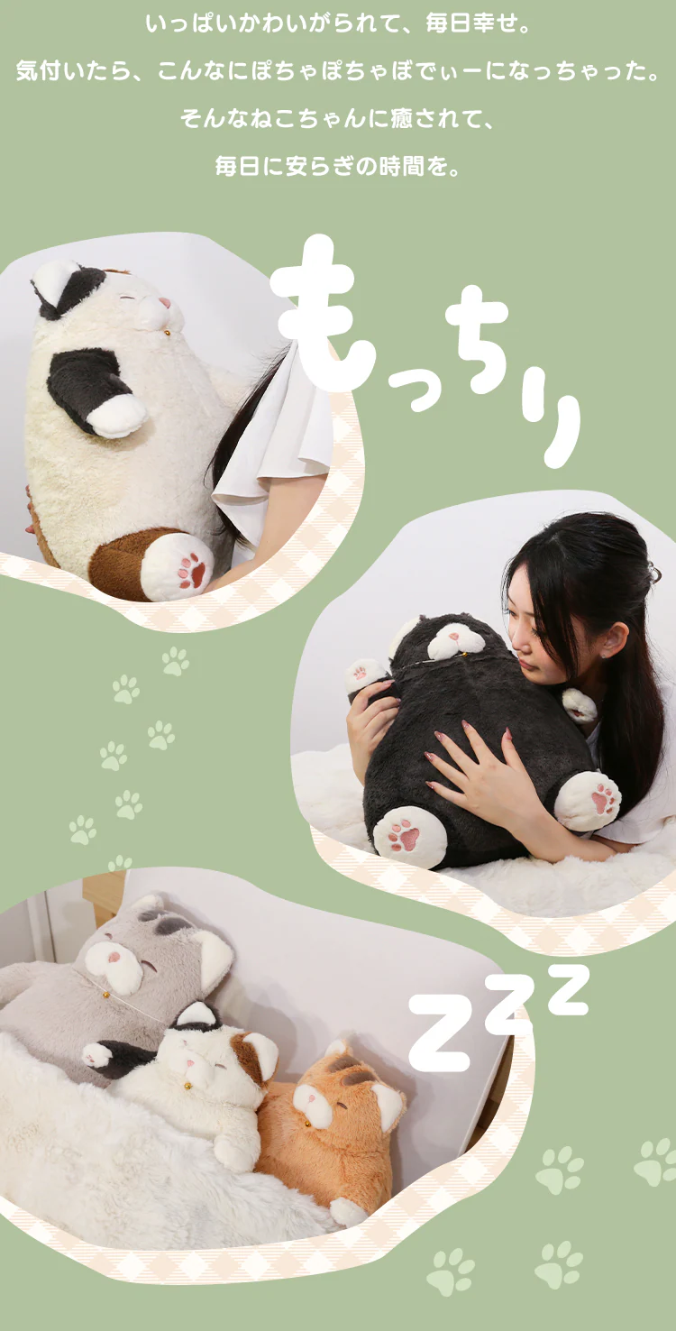 りぶはあと ねこ肯定感 抱きまくらM 27722-73 はちわれのかつお2