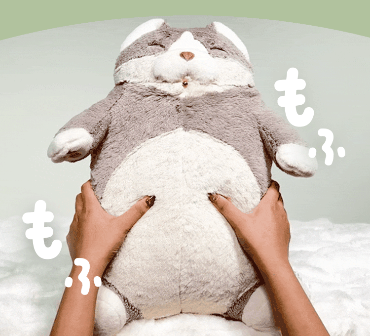 りぶはあと ねこ肯定感 抱きまくらM 27722-73 はちわれのかつお3