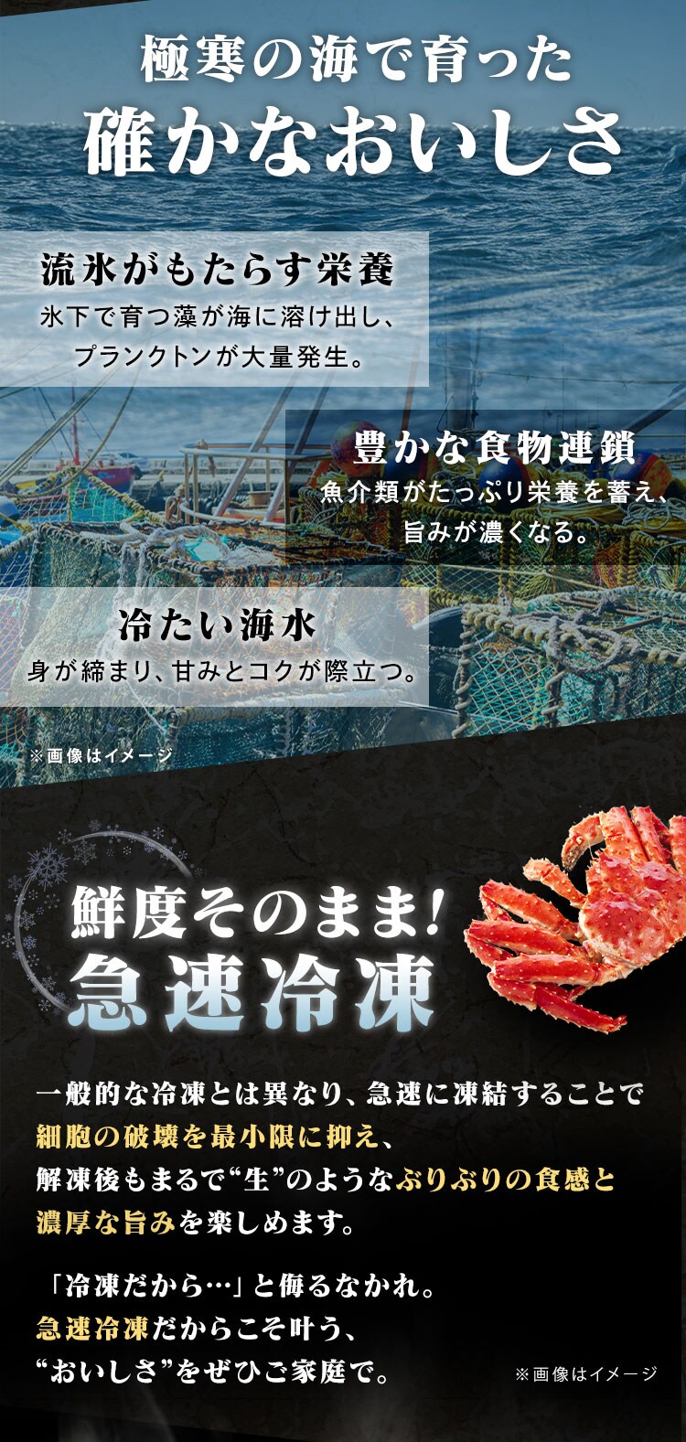 旨蟹合戦 (ずわいがに･たらばがに) ハーフポーション【代引き不可】2