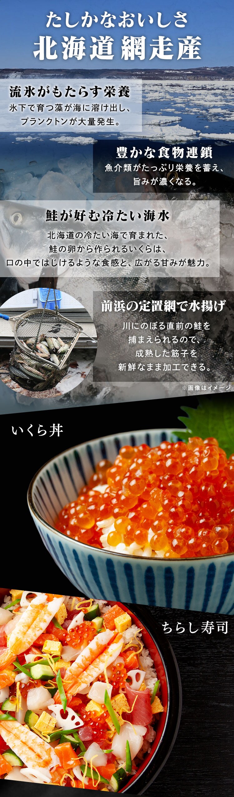 鮭いくら醤油漬 300g【代引き不可】1