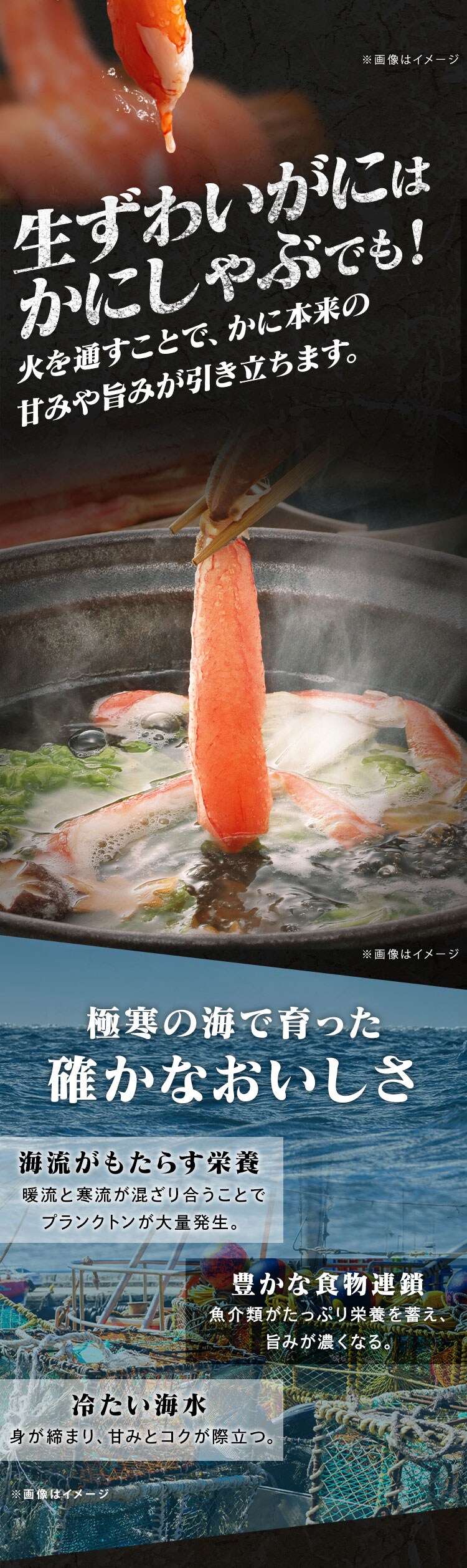ボイルずわい･生ずわい食べ比べセット お刺身OK1