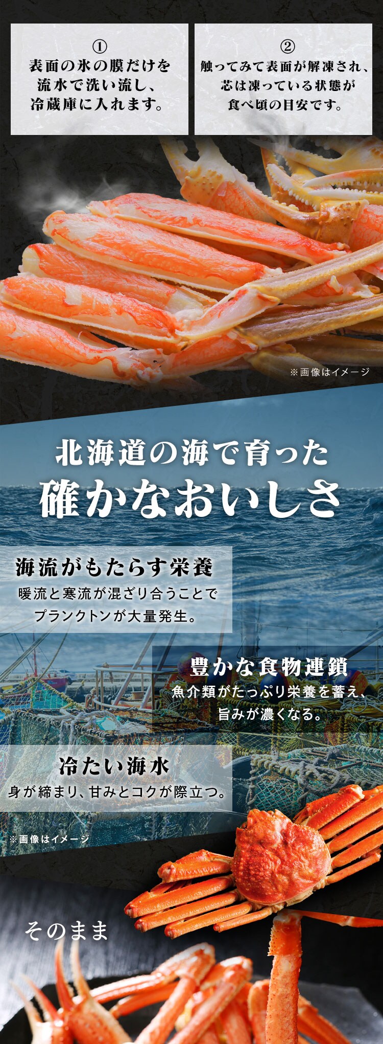 北海道産 ボイルおおずわいがに姿 2kg (4〜6尾)1