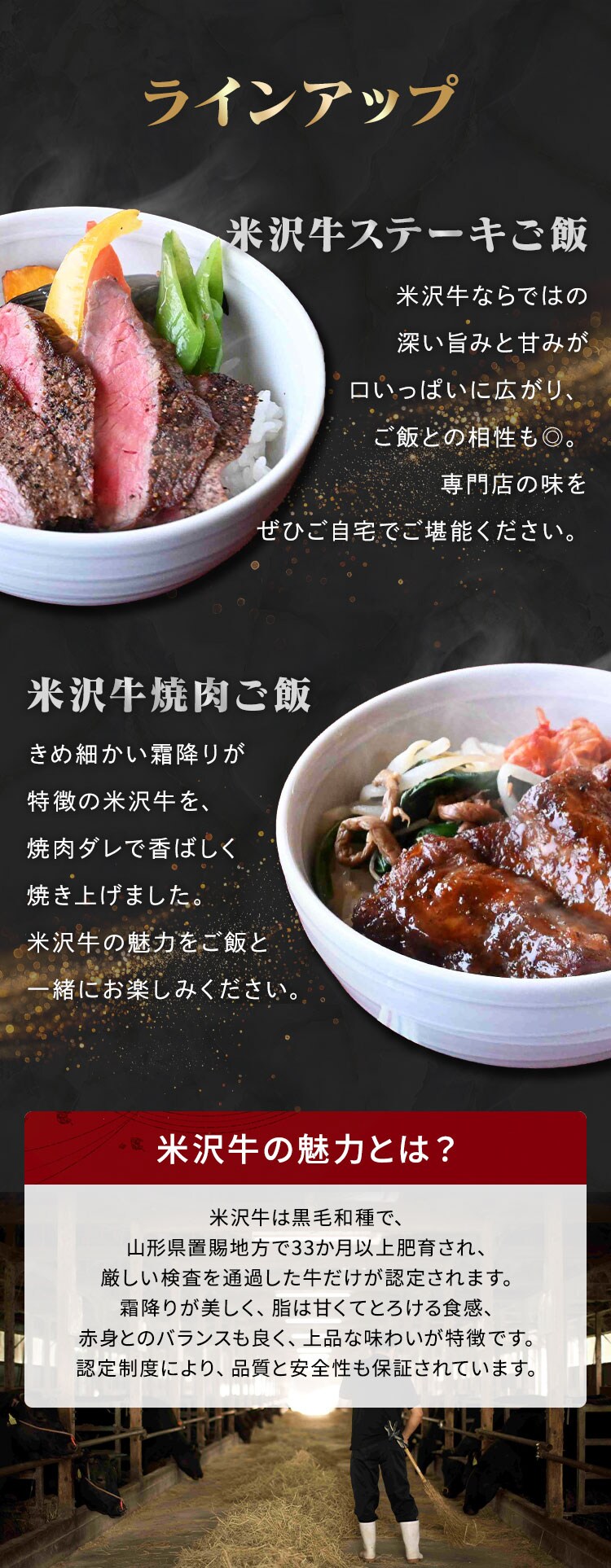 【米沢牛黄木】米沢牛 ステーキ･焼肉ご飯 SYG60J 【代引き不可】1