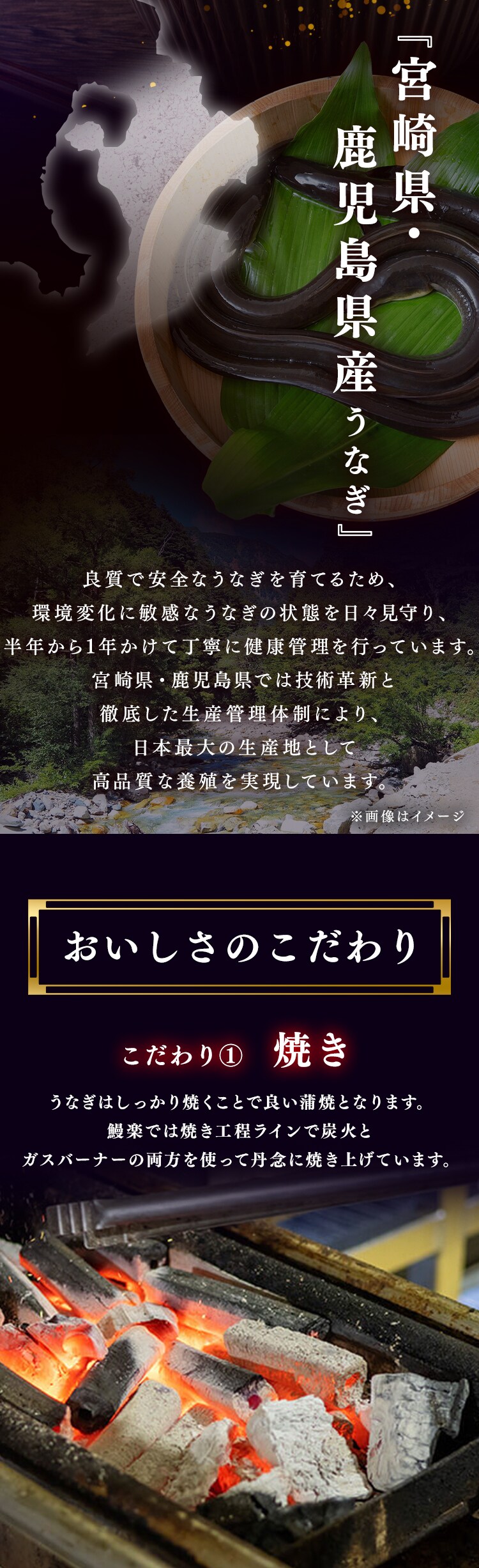 【鰻楽】【お届けは7/20(月)〜7/24(金)】九州産うなぎ蒲焼 2尾セット aQMN2/280【代引き不可】1