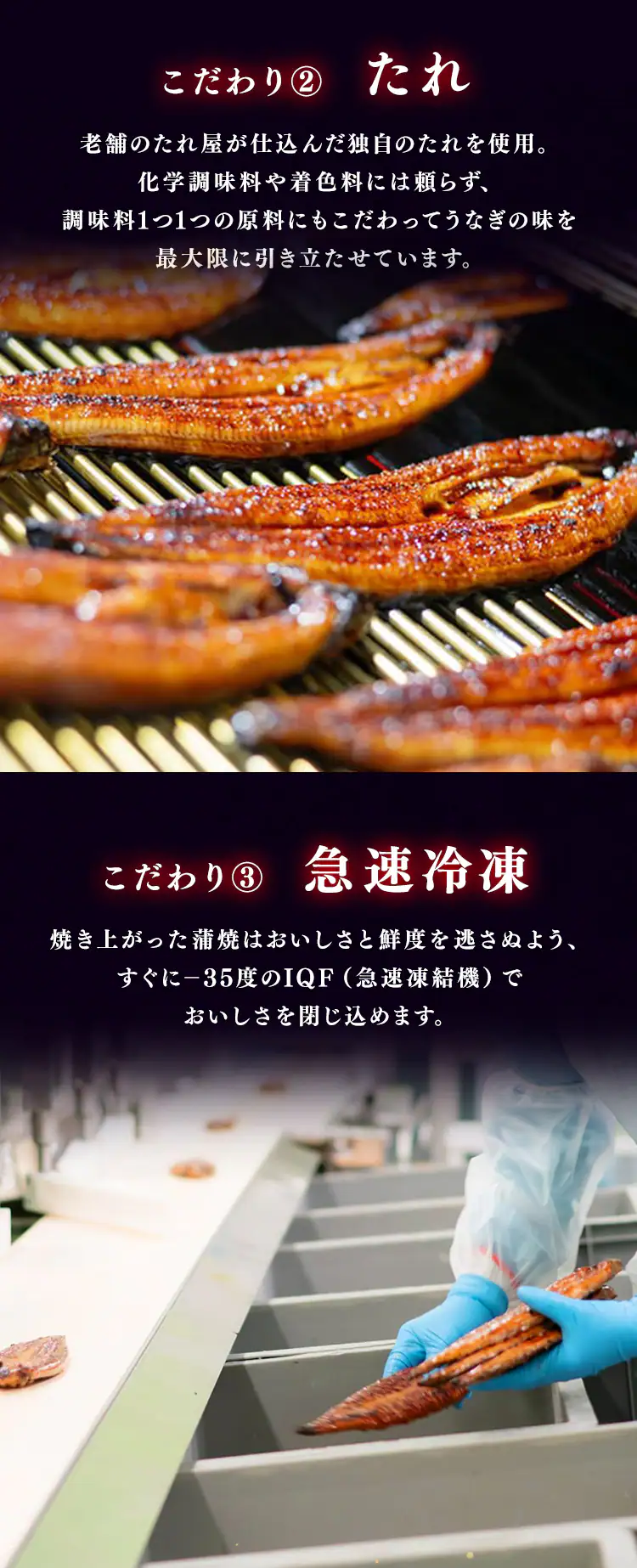 【鰻楽】【お届けは7/20(月)〜7/24(金)】九州産うなぎ蒲焼 2尾セット aQMN2/280【代引き不可】2