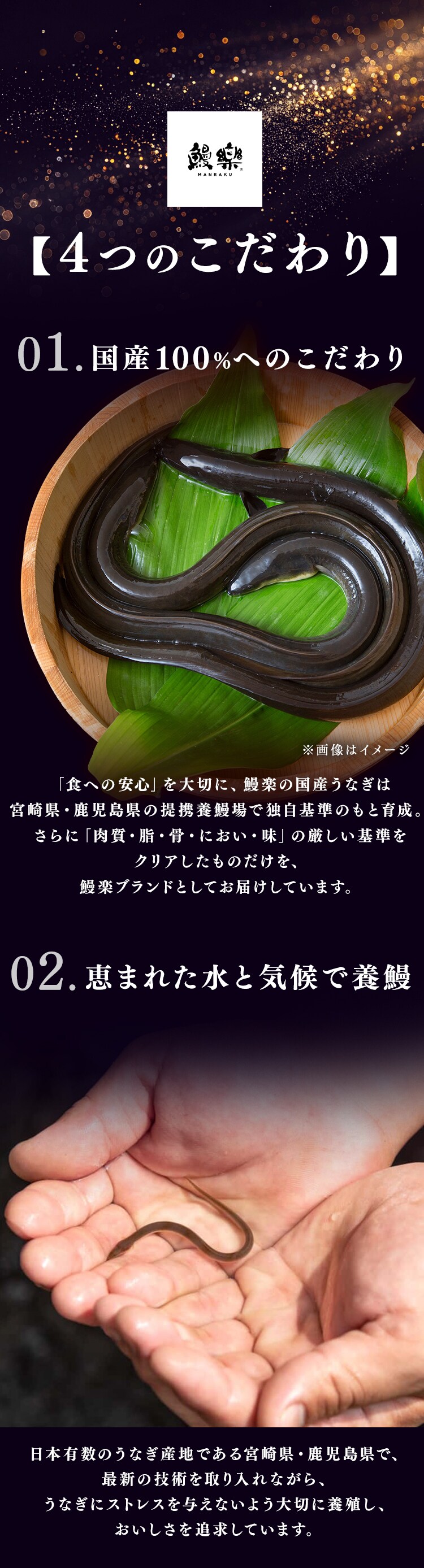 【鰻楽】【お届けは7/20(月)〜7/24(金)】九州産うなぎ蒲焼 2尾セット aQMN2/280【代引き不可】3