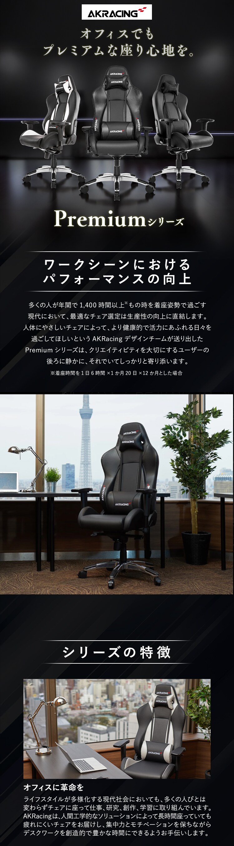 AKRacing エーケーレーシング ゲーミングチェア AKR-PREMIUM シルバー0