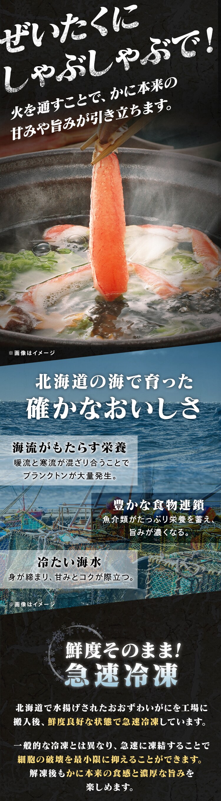 北海道産おおずわいがにポーション 500g1