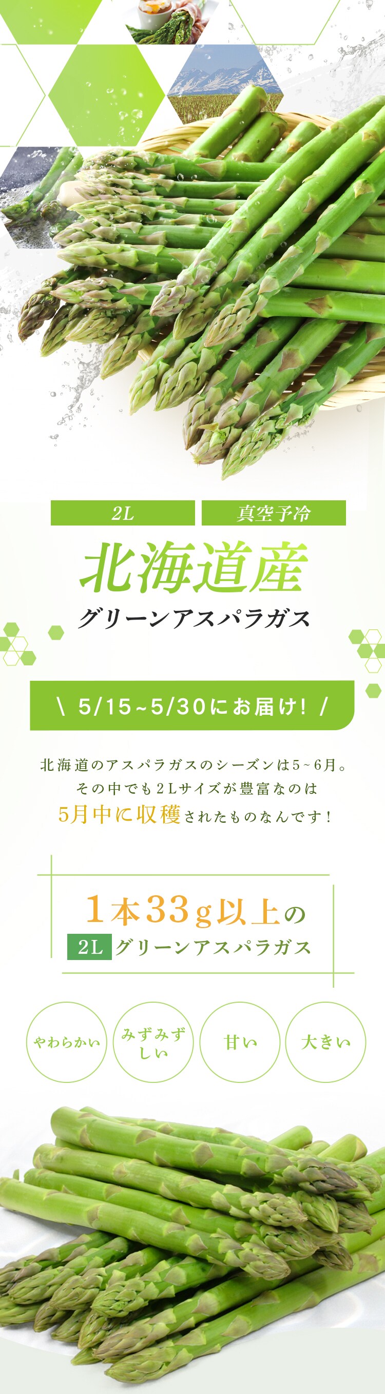 北海道産グリーンアスパラガス1kg （500ｇ&times;2） 【時間指定不可】【代引不可】【同梱不可】0