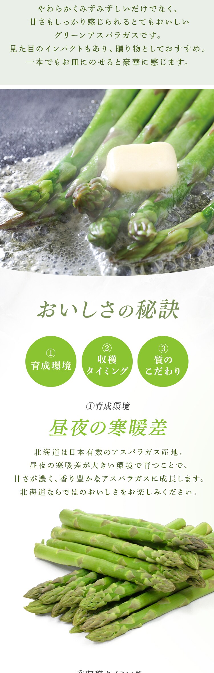 北海道産グリーンアスパラガス1kg （500ｇ&times;2） 【時間指定不可】【代引不可】【同梱不可】1