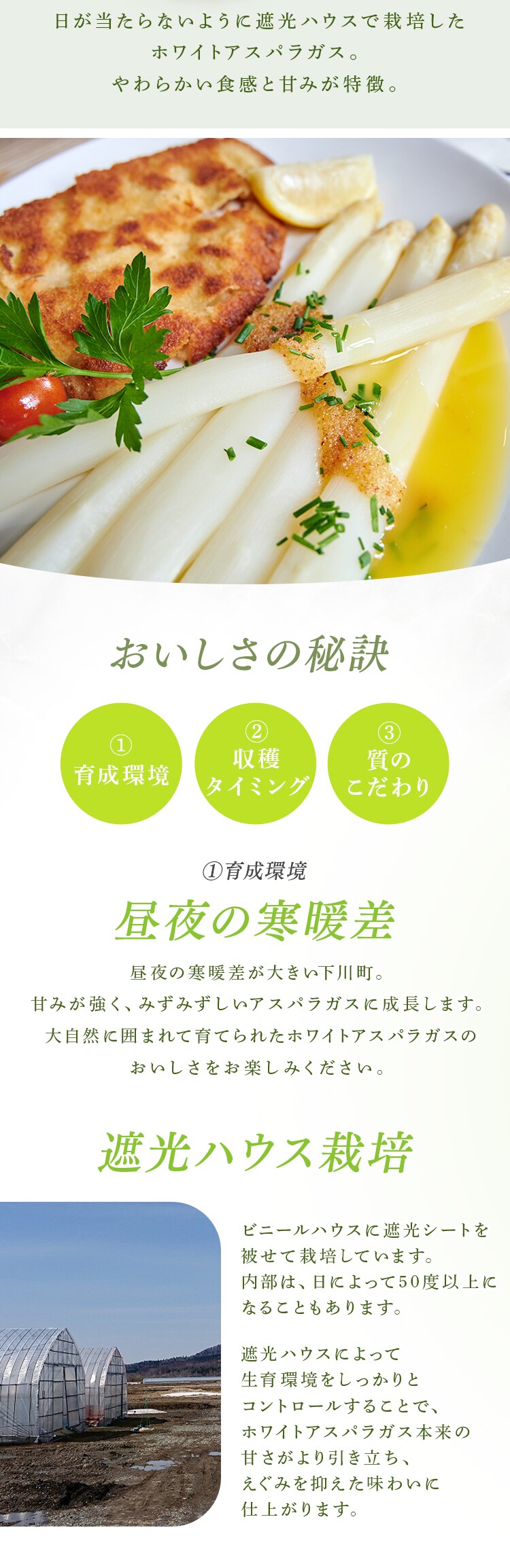 下川産ホワイトアスパラガス1kg （500ｇ&times;2） 【時間指定不可】【代引不可】【同梱不可】1