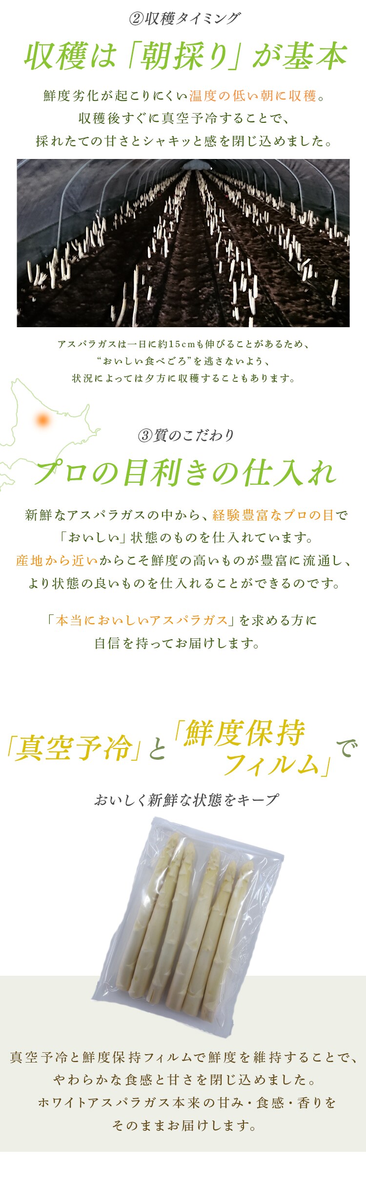 下川産ホワイトアスパラガス1kg （500ｇ&times;2） 【時間指定不可】【代引不可】【同梱不可】2
