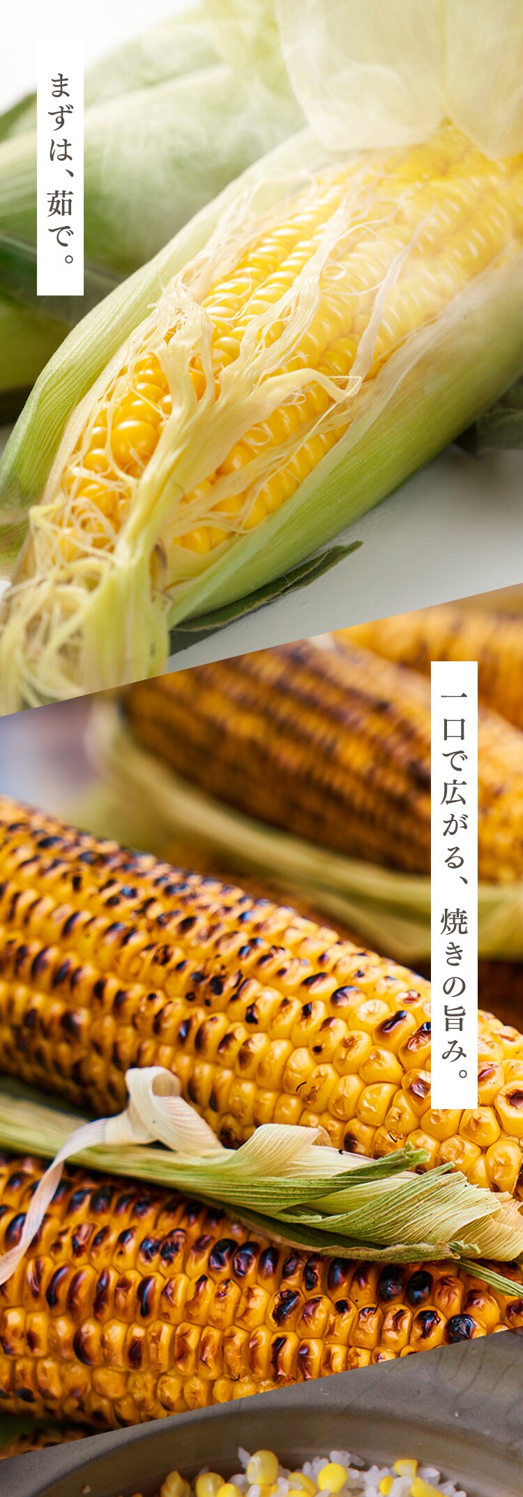 北海道産黄色とうもろこし8本5
