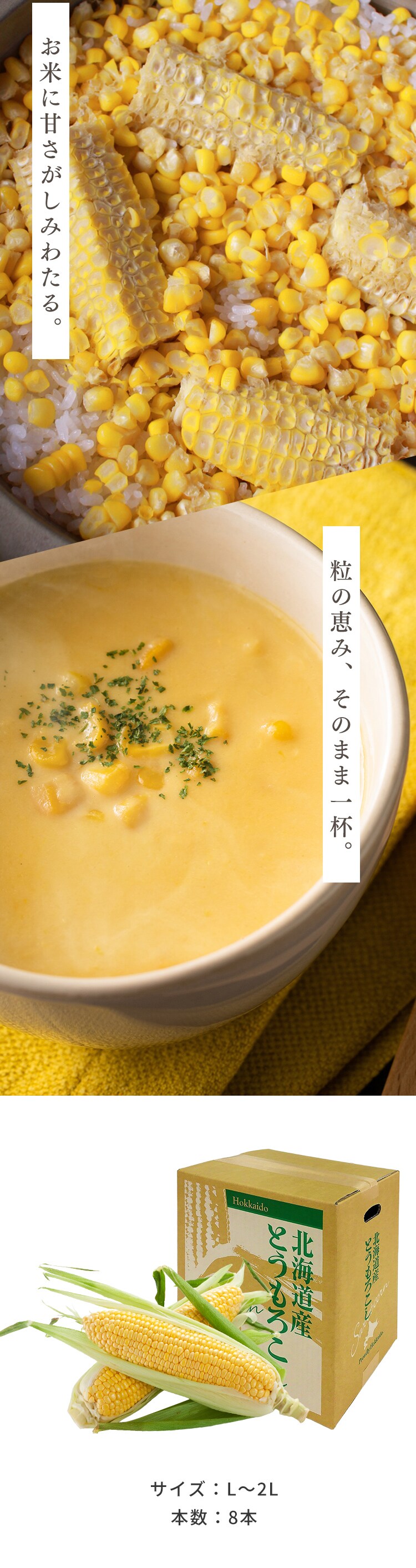 北海道産黄色とうもろこし8本6