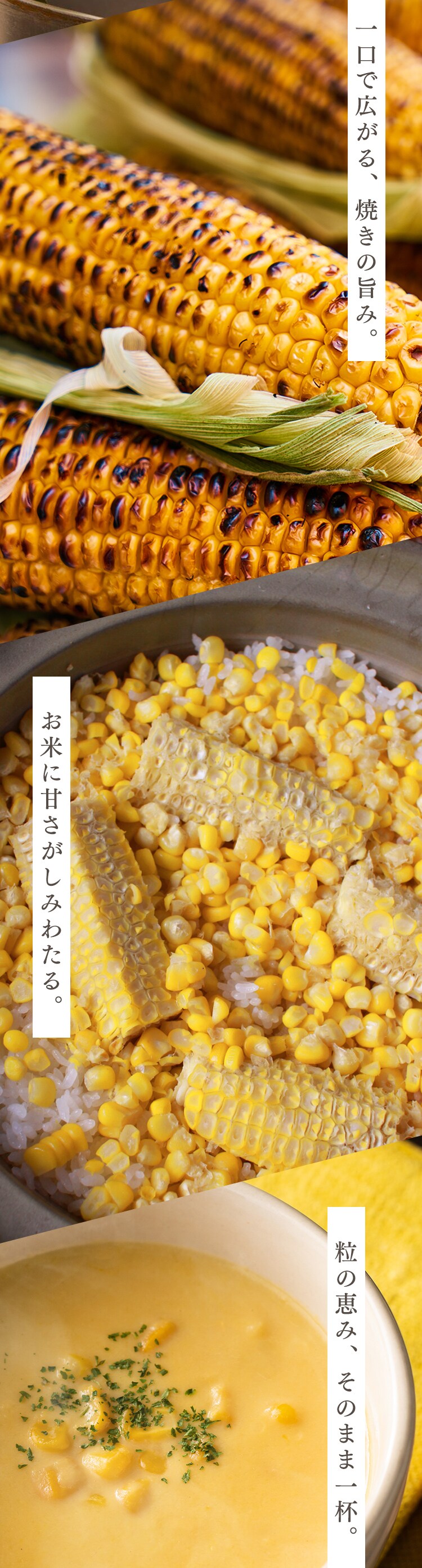 北海道産白いとうもろこし8本6