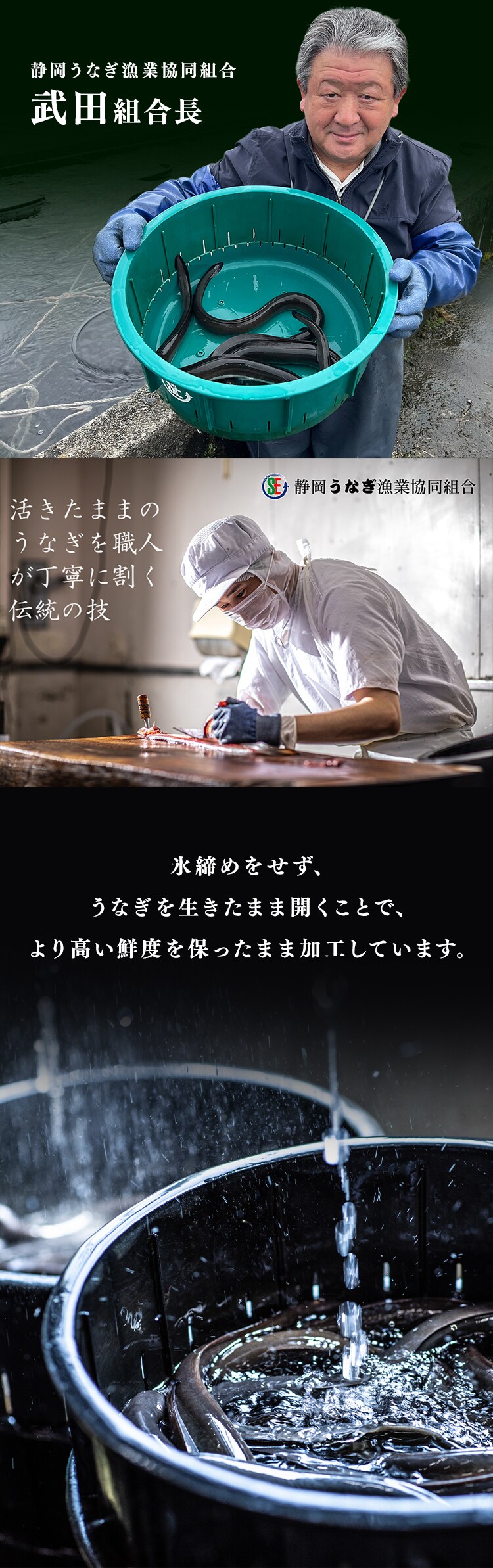 静岡うなぎ漁業協同組合　静岡県産うなぎ蒲焼3尾 【お届けは7/20(月)〜7/24(金)】【時間指定不可】【代引不可】【同梱不可】【直送】2