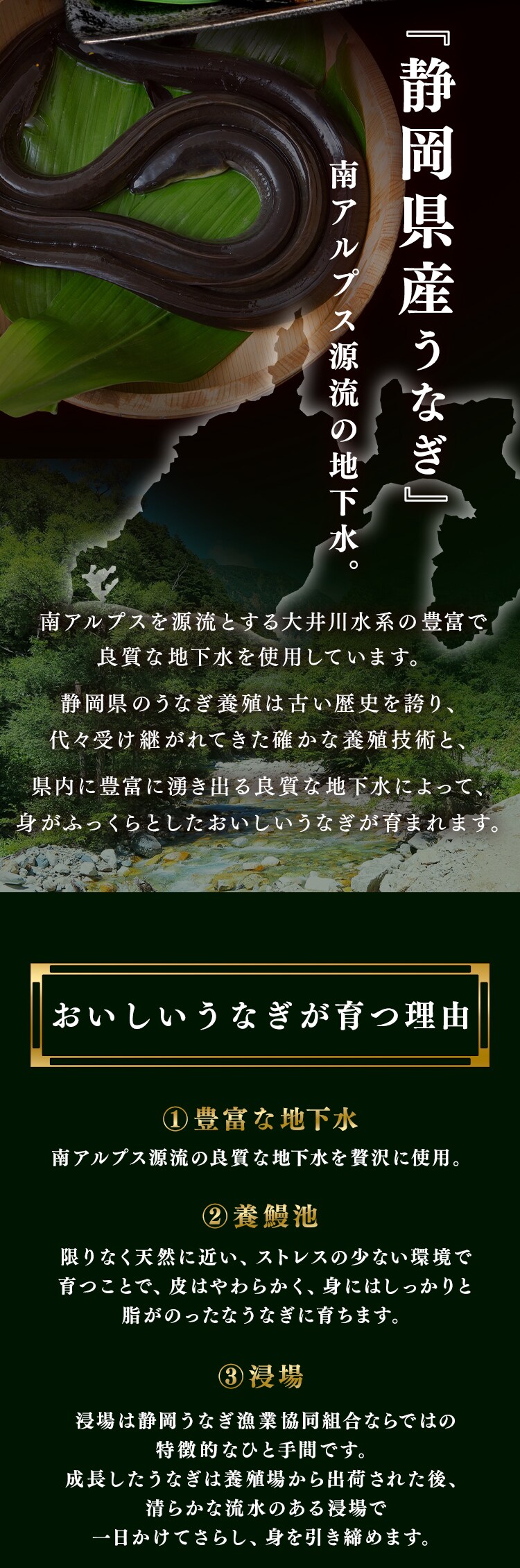 【土用の丑の日までにお届け】静岡うなぎ漁業協同組合　静岡県産うなぎ蒲焼　カット４枚 【お届けは7/20(月)〜7/24(金)】【時間指定不可】【代引不可】【同梱不可】1