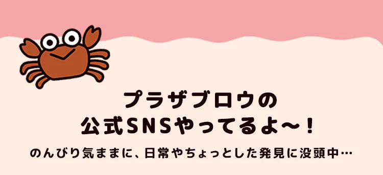 プラザブロウ シール ぷくぷくシール ぷっくりシール 立体シール かわいい 3D シール帳 PUKPUK JELLYシール PZRｰ3 プラザブロウ34