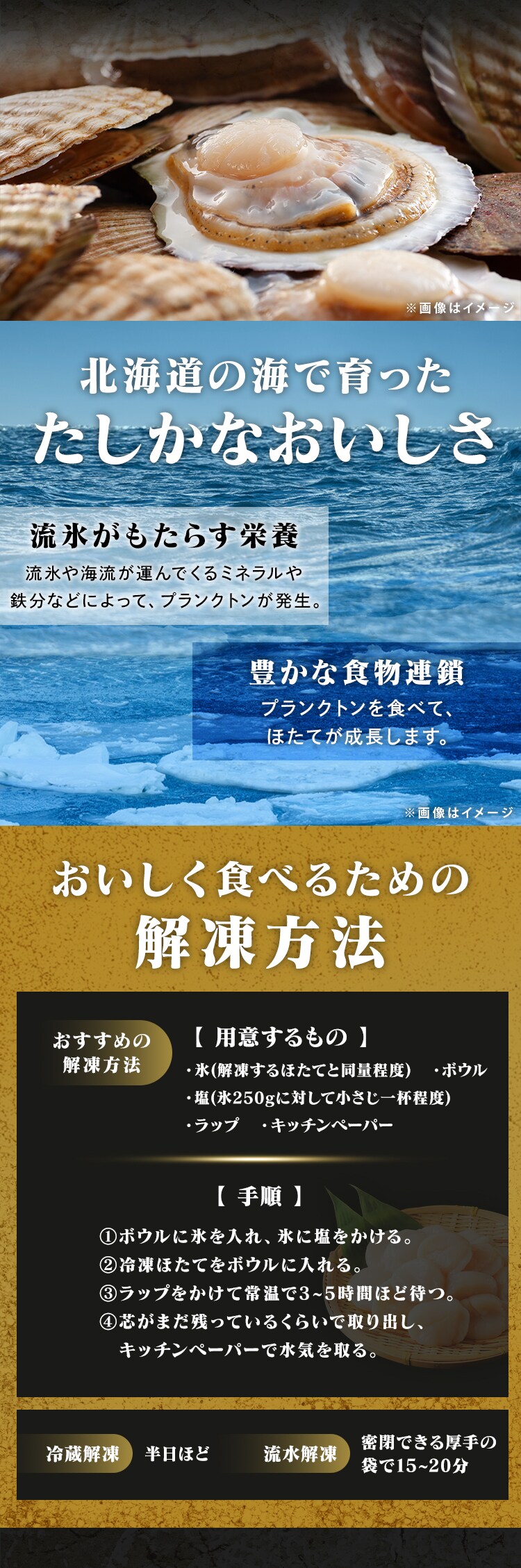 北海道産 ほたて貝柱500g1