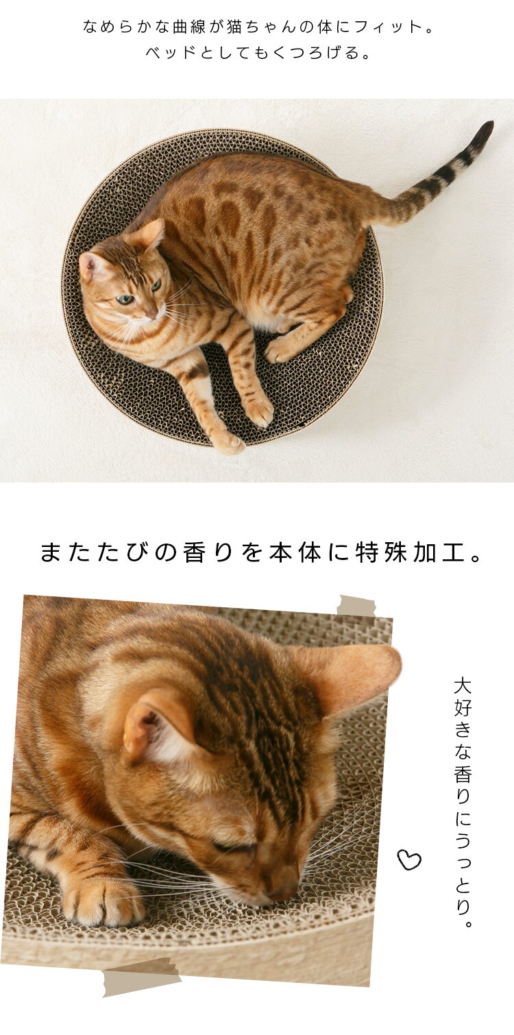 猫のつめとぎボウル またたびの香り付き 木目2