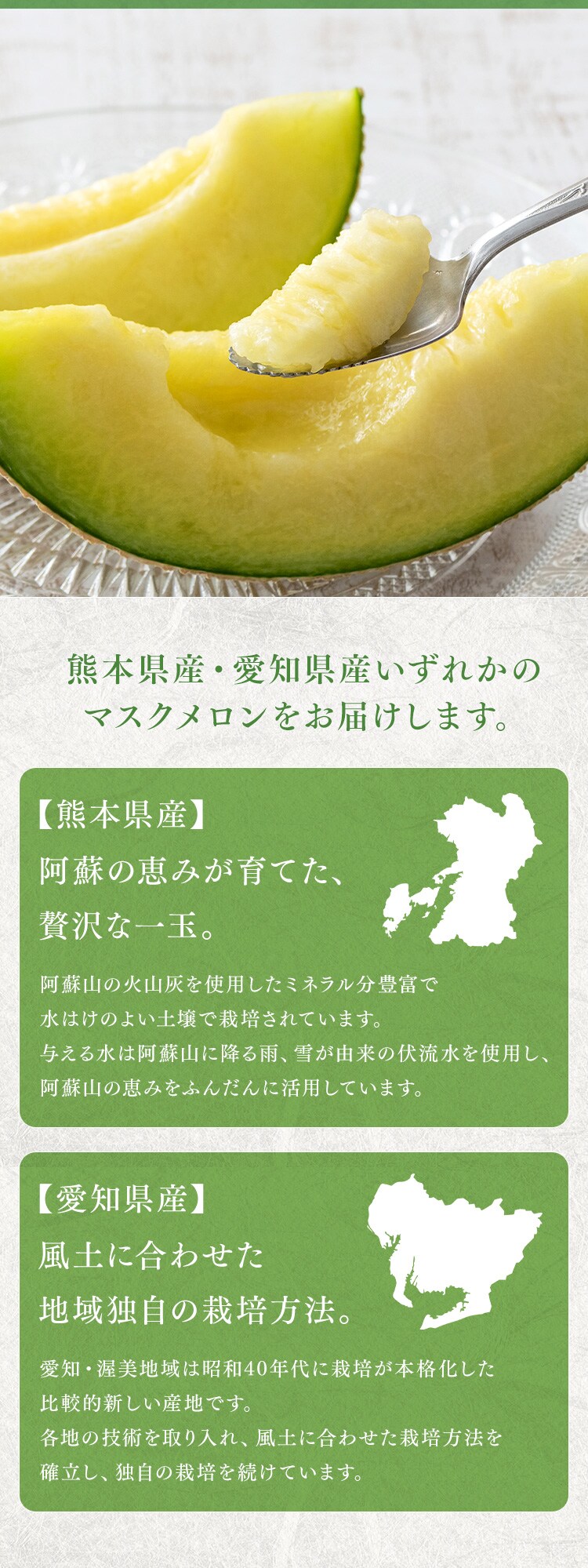 マスクメロン（1玉） AF-MM1.3-1N 【時間指定不可】【代引不可】【同梱不可】1