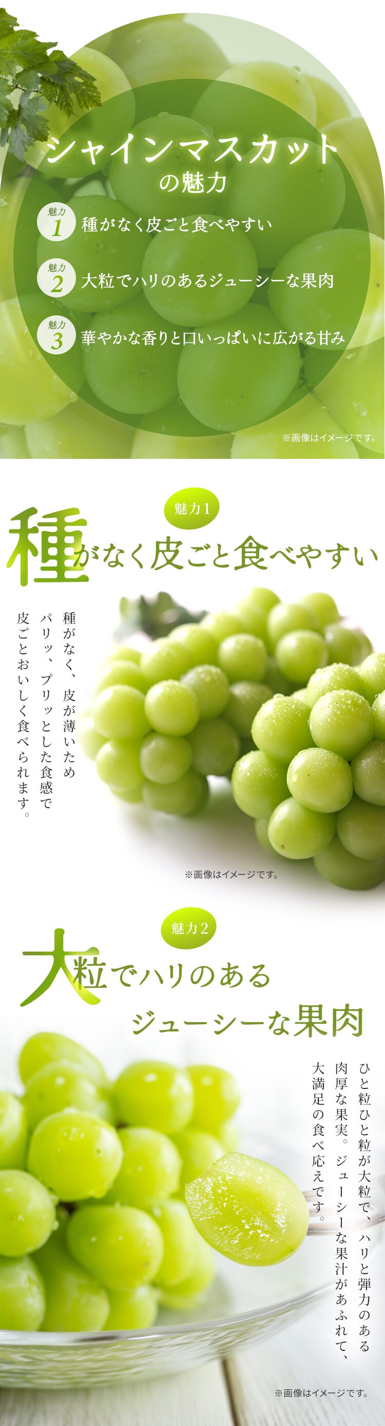白桃とシャインマスカット AF-M3S 【時間指定不可】【代引不可】【同梱不可】6