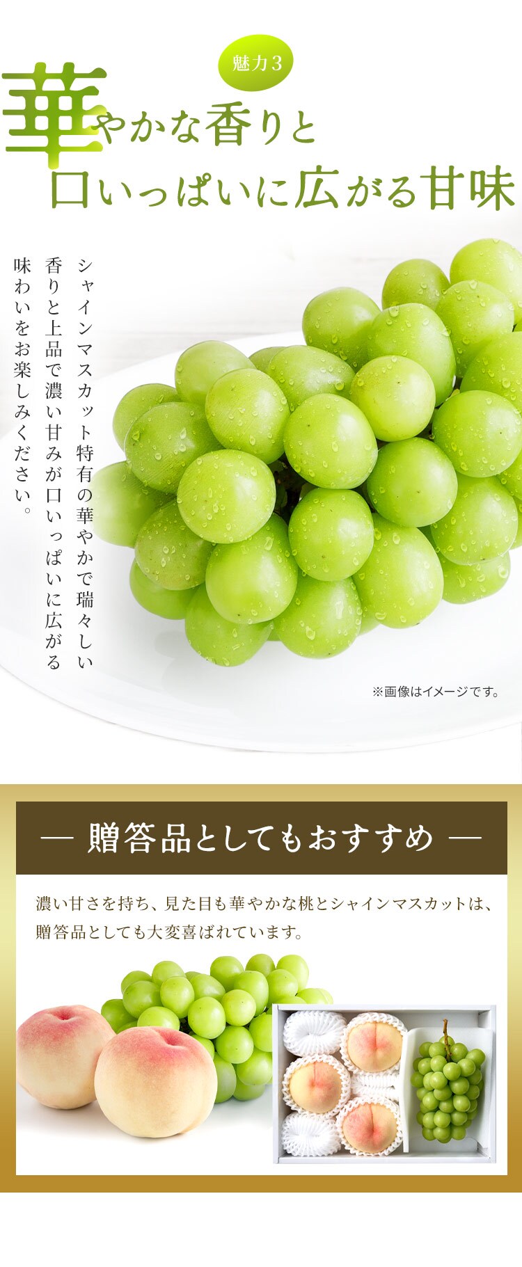 白桃とシャインマスカット AF-M3S 【時間指定不可】【代引不可】【同梱不可】7