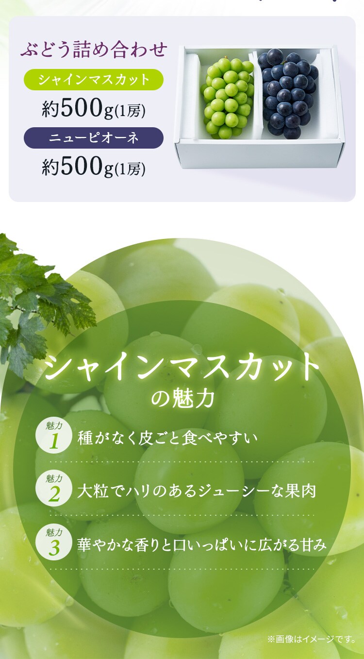 ぶどう詰合せ AF-SPS 【時間指定不可】【代引不可】【同梱不可】1