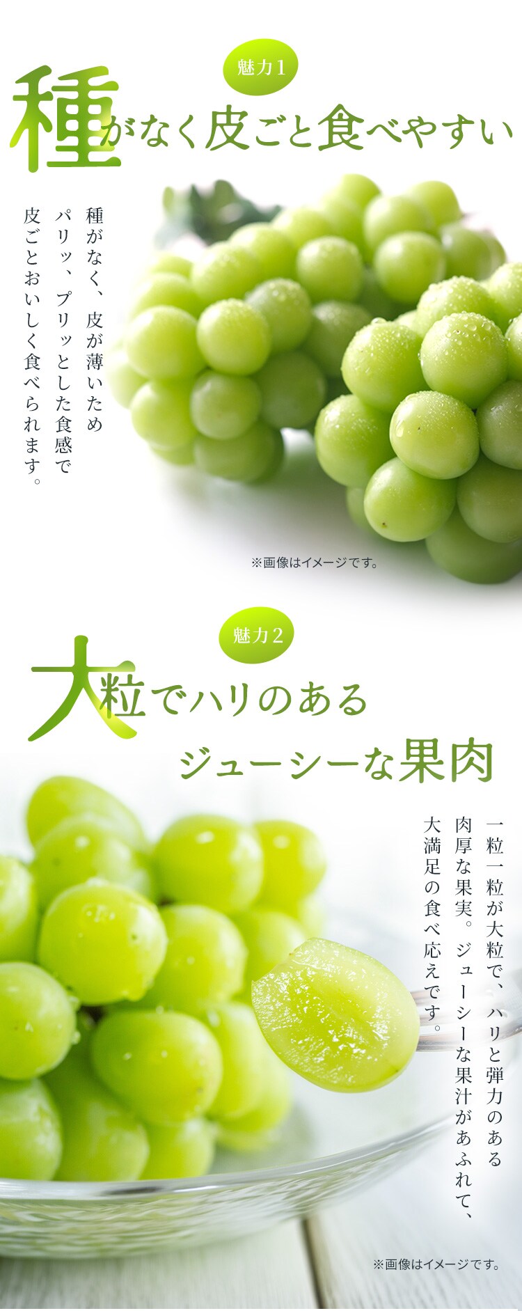 ぶどう詰合せ AF-SPS 【時間指定不可】【代引不可】【同梱不可】2