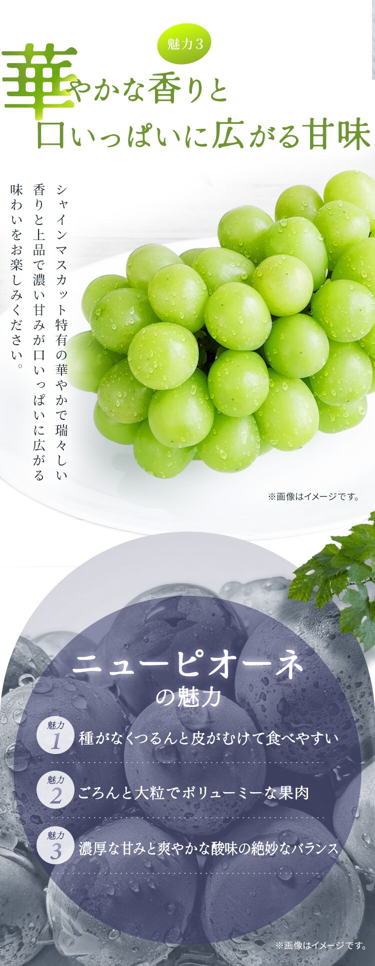 ぶどう詰合せ AF-SPS 【時間指定不可】【代引不可】【同梱不可】3
