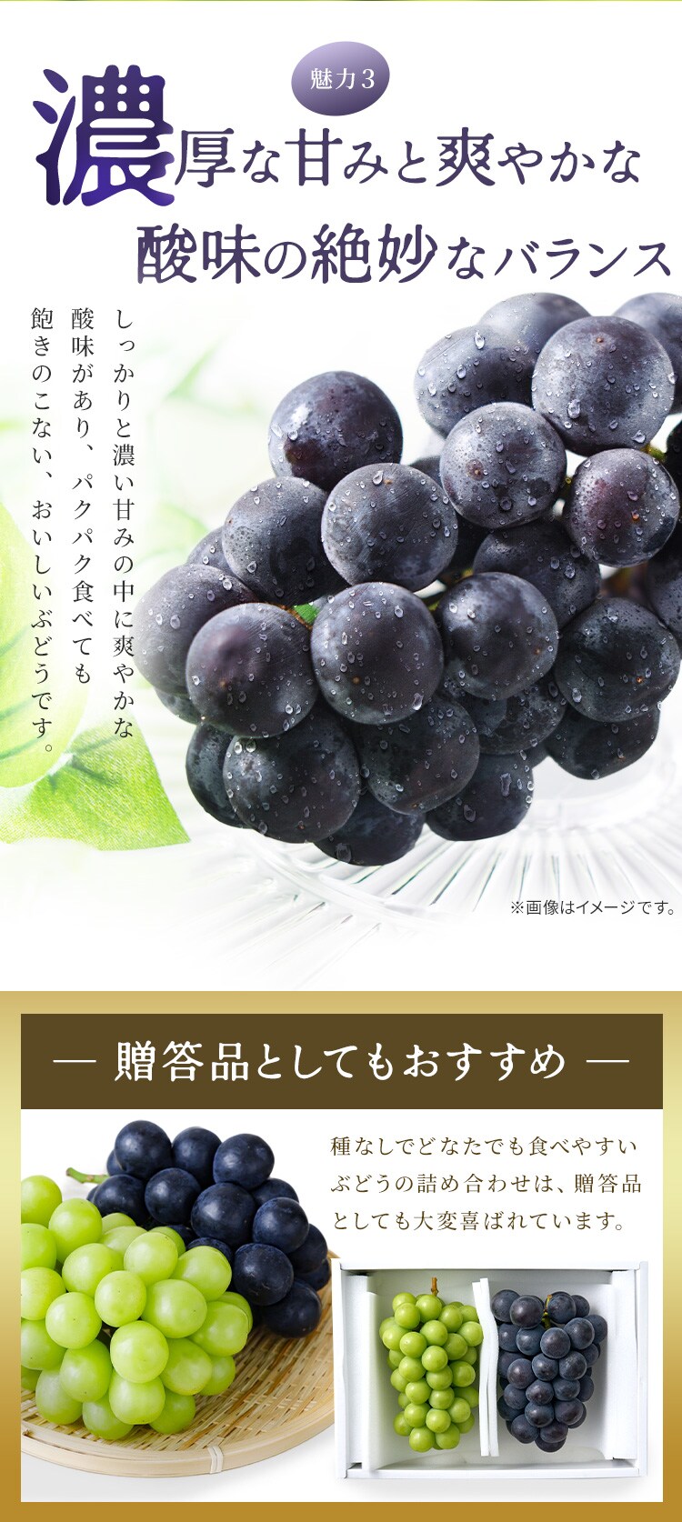 ぶどう詰合せ AF-SPS 【時間指定不可】【代引不可】【同梱不可】5