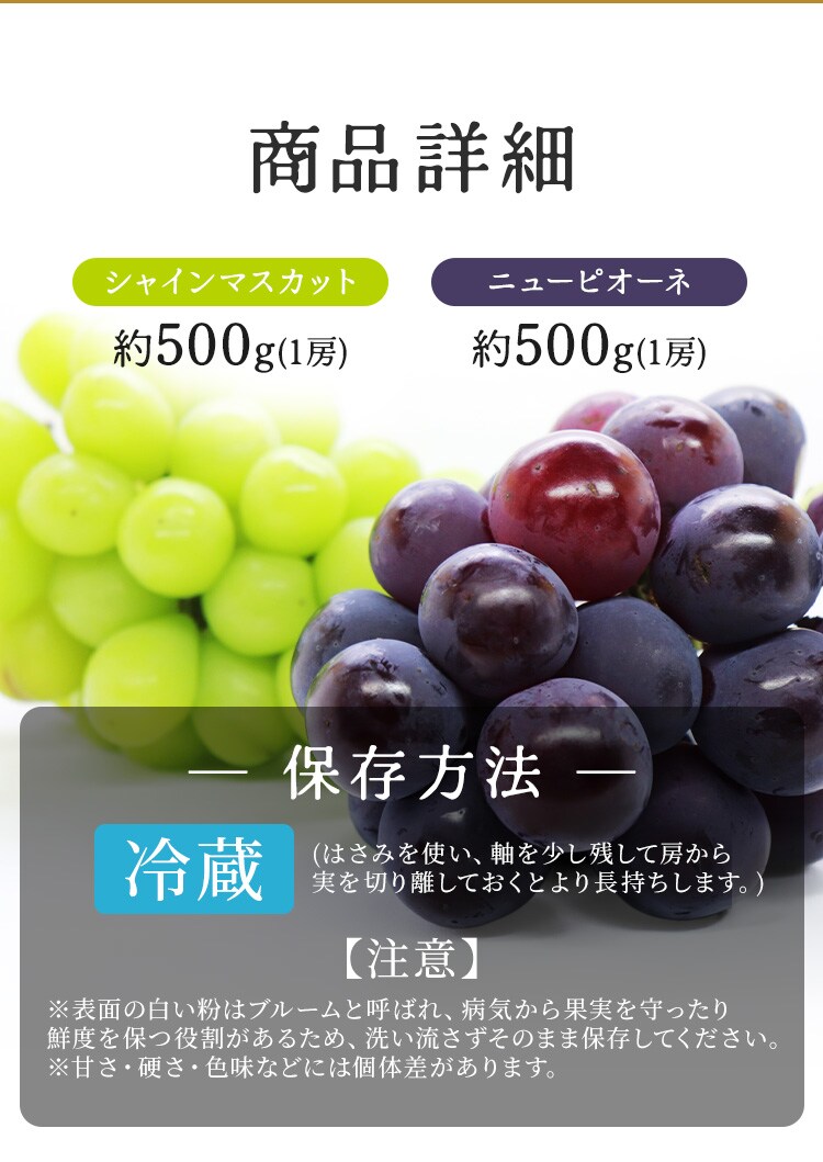 ぶどう詰合せ AF-SPS 【時間指定不可】【代引不可】【同梱不可】6