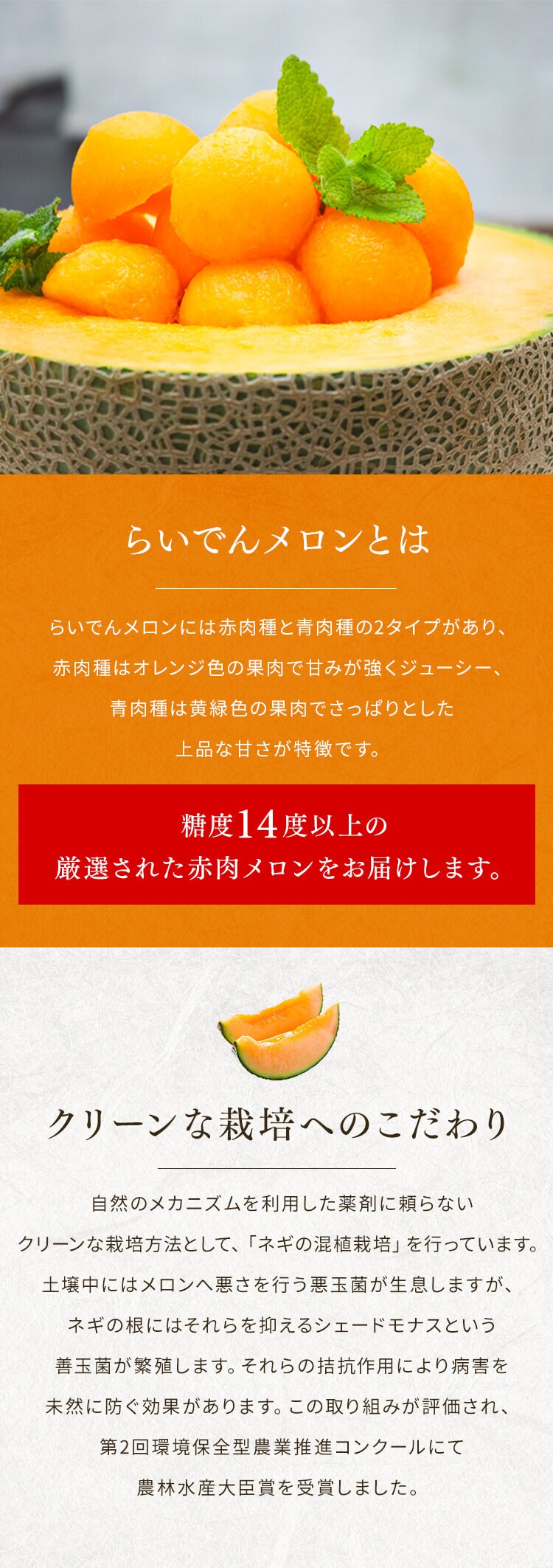 北海道らいでんメロン(赤肉) HRMA28 【時間指定不可】【代引不可】【同梱不可】 7351844│アイリスオーヤマ公式通販アイリスプラザ