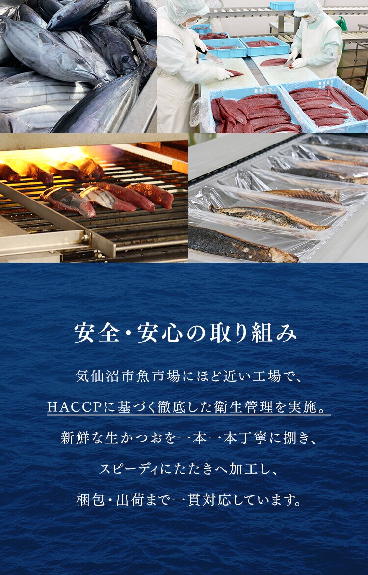 気仙沼宮城 産地直送 かつおたたき600ｇ6