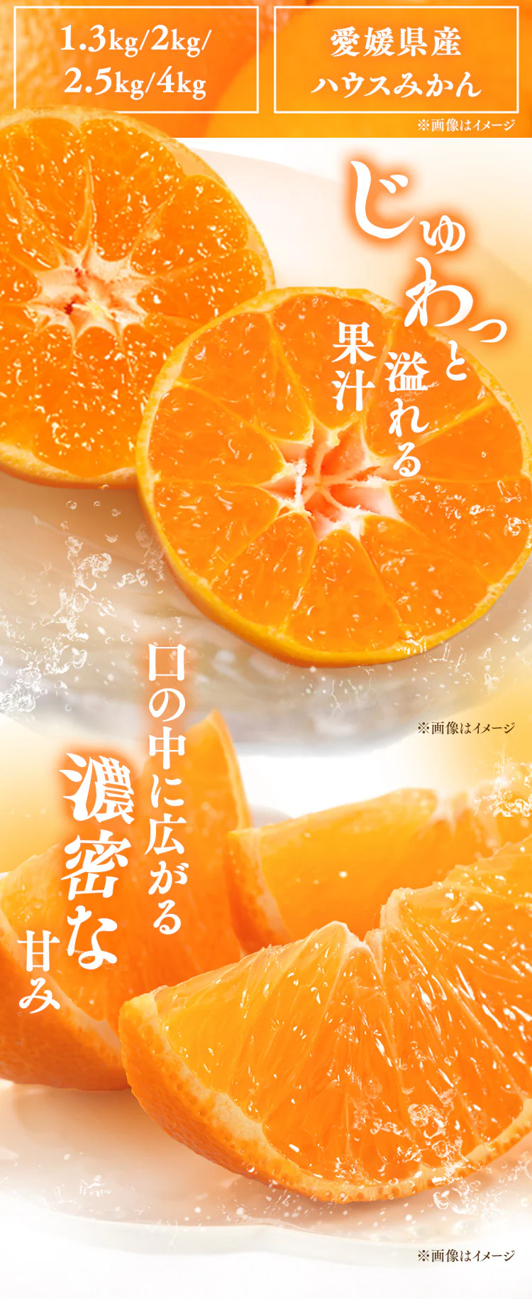 宇和島青果市場 宇和島ハウスみかん 1.3kg 1