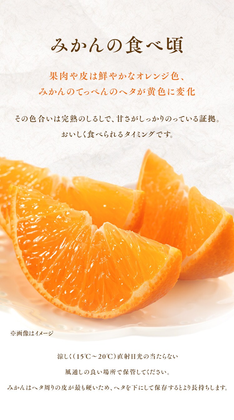 宇和島青果市場 宇和島ハウスみかん 1.3kg 4