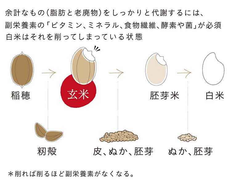 【6食】 yuwaeru 寝かせ玄米ごはん160g もち麦ブレンド NGC-160 1