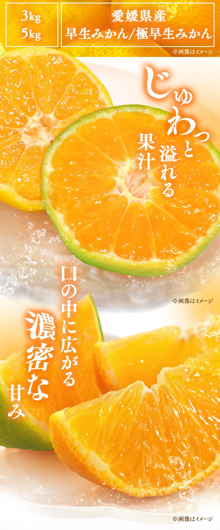宇和島青果市場 宇和島極早生みかん 上品 甘み 産地直送 3kg 1