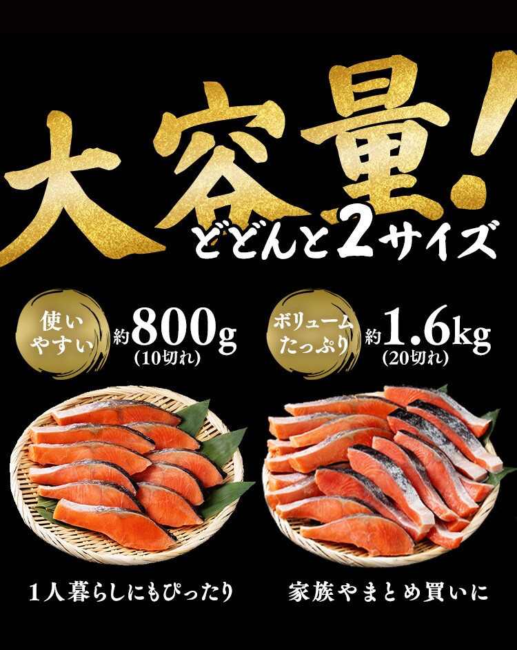 【お徳用】チリ産銀鮭 切身 10切 約800g 【時間指定不可】【代引不可】【同梱不可】2