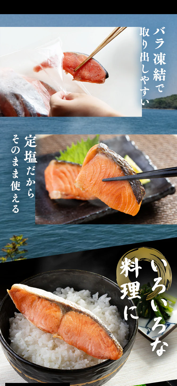 【お徳用】チリ産銀鮭 切身 10切 約800g 【時間指定不可】【代引不可】【同梱不可】3