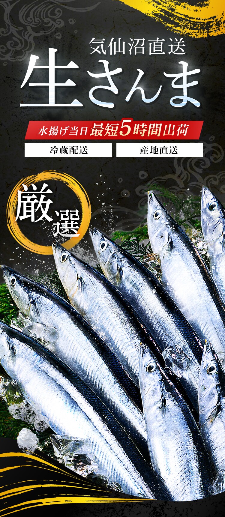 とれどき三陸三陸・気仙沼産　生さんま10尾 【時間指定不可】【代引不可】【同梱不可】0