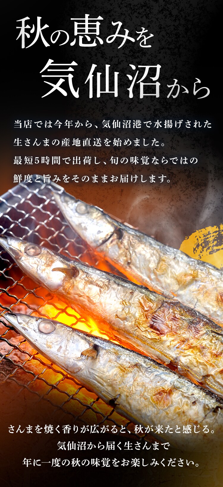 とれどき三陸三陸・気仙沼産　生さんま10尾 【時間指定不可】【代引不可】【同梱不可】1