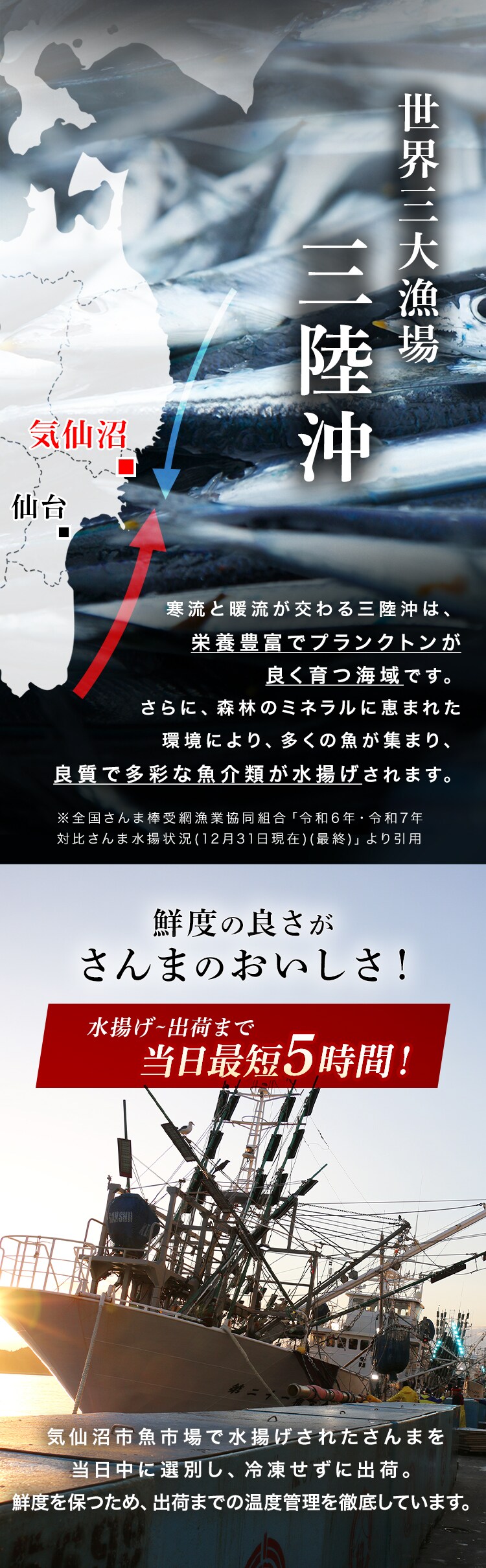 とれどき三陸三陸・気仙沼産　生さんま10尾 【時間指定不可】【代引不可】【同梱不可】3