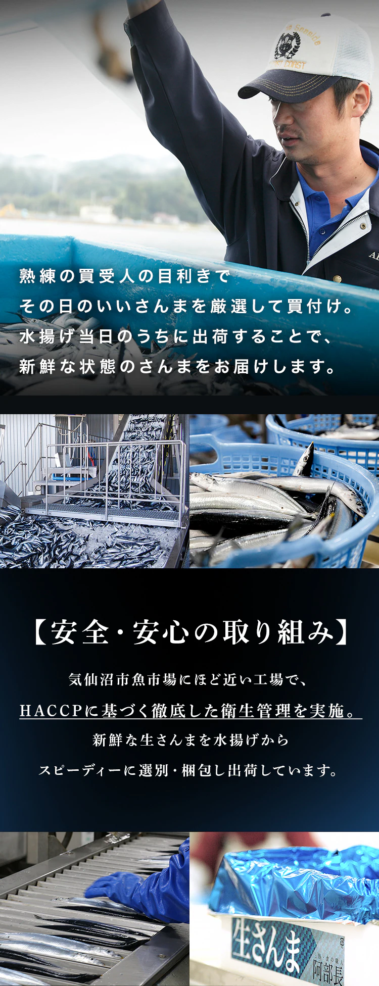 とれどき三陸三陸・気仙沼産　生さんま10尾 【時間指定不可】【代引不可】【同梱不可】4
