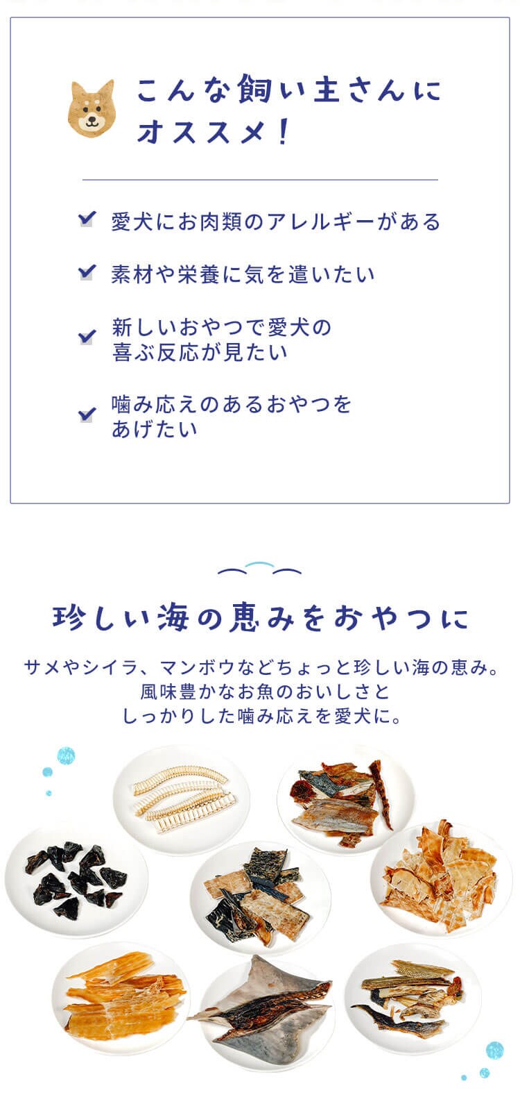 SANRIKU MIRAI サメ皮ジャーキー150g1