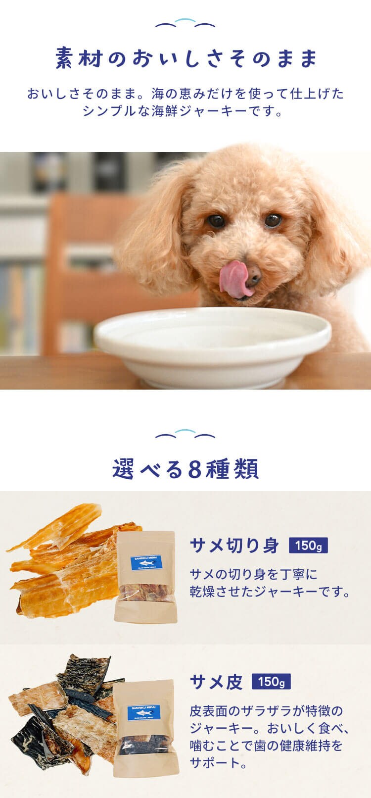SANRIKU MIRAI サメ皮ジャーキー150g2
